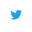 Integração Twitter API